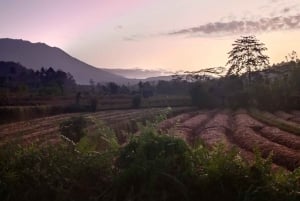 Sidemen Adventures: The Scenic Rice Fields and Village Life