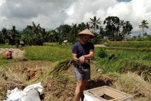 Sidemen Adventures: The Scenic Rice Fields and Village Life