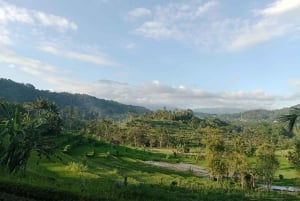 Sidemen Adventures: The Scenic Rice Fields and Village Life