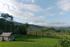 Sidemen Adventures: The Scenic Rice Fields and Village Life