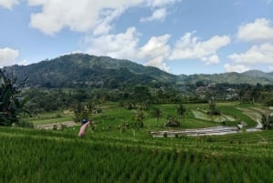 Sidemen Adventures: The Scenic Rice Fields and Village Life