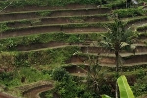 Sidemen Adventures: The Scenic Rice Fields and Village Life