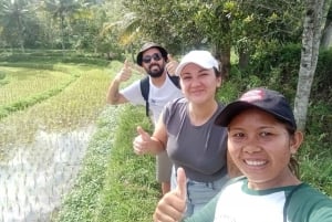 Sidemen Adventures: The Scenic Rice Fields and Village Life