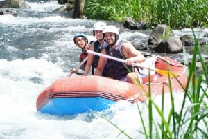 Sidemen, Bali : Rafting privé sur la rivière Telaga Waja avec déjeuner