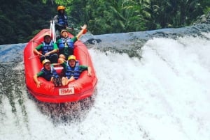 Sidemen, Bali : Rafting privé sur la rivière Telaga Waja avec déjeuner