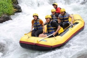 Sidemen, Bali : Rafting privé sur la rivière Telaga Waja avec déjeuner