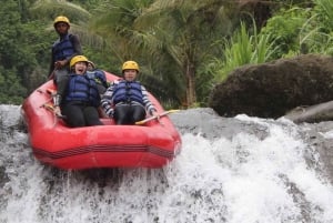 Sidemen, Bali : Rafting privé sur la rivière Telaga Waja avec déjeuner