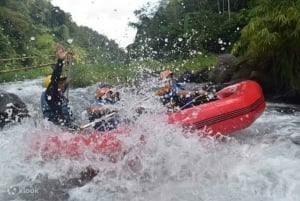 Sidemen, Bali : Rafting privé sur la rivière Telaga Waja avec déjeuner