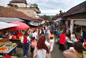 Sidemenin riisipellot ja kävelyretki paikallisessa kylässä