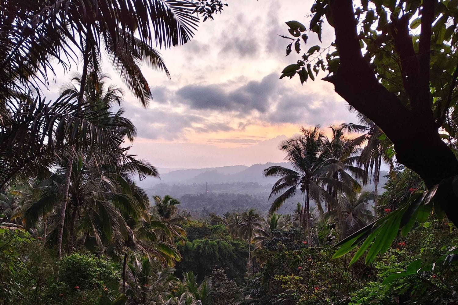 Sidemen: Rice Terraces, Waterfall, & Village Tour