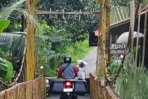 シデメン：ライステラス、滝、村ツアー