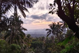 Sidemen: Rice Terraces, Waterfall, & Village Tour
