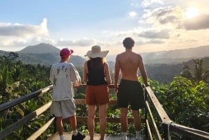 Sidemen: Rice Terraces, Waterfall, & Village Tour