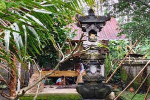 Sidemen: Rice Terraces, Waterfall, & Village Tour