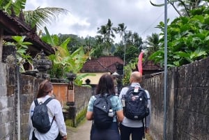 Sidemen: Rice Terraces, Waterfall, & Village Tour