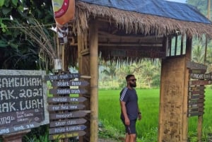 Sidemen Tour with Optional Koli Koli Day Club Visit