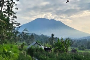 Sidemen Tour with Optional Koli Koli Day Club Visit