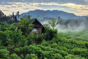 Sidemen Tour with Optional Koli Koli Day Club Visit