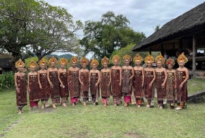 Sidemen: Traditional Villages, Salt Farm & Tirta Gangga Tour