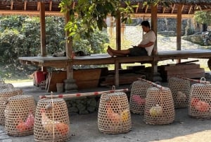 Sidemen : Villages traditionnels, ferme de sel et visite de Tirta Gangga