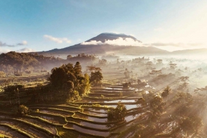 Bali: Tradisjonelle landsbyer, saltfarm og Tirta Gangga-tur