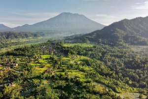 Bali: Tradisjonelle landsbyer, saltfarm og Tirta Gangga-tur