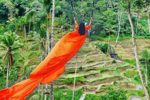 Bali: Instagram highlight Swing, Rice Terrace and Waterfall
