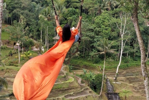 Bali: Instagram highlight Swing, Rice Terrace and Waterfall