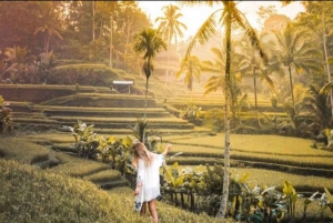 Sightseeing ubud riceterrace water temple and waterfall tour