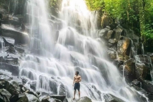 Sightseeing Ubud Tour Hidden Waterfall