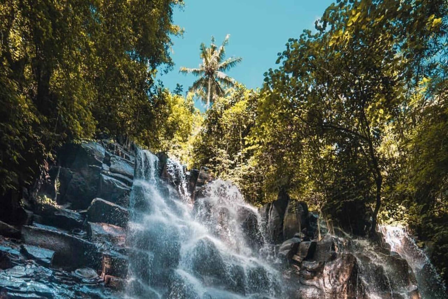 Vältä väkijoukot: Ubudin aikainen aamun luontoretki