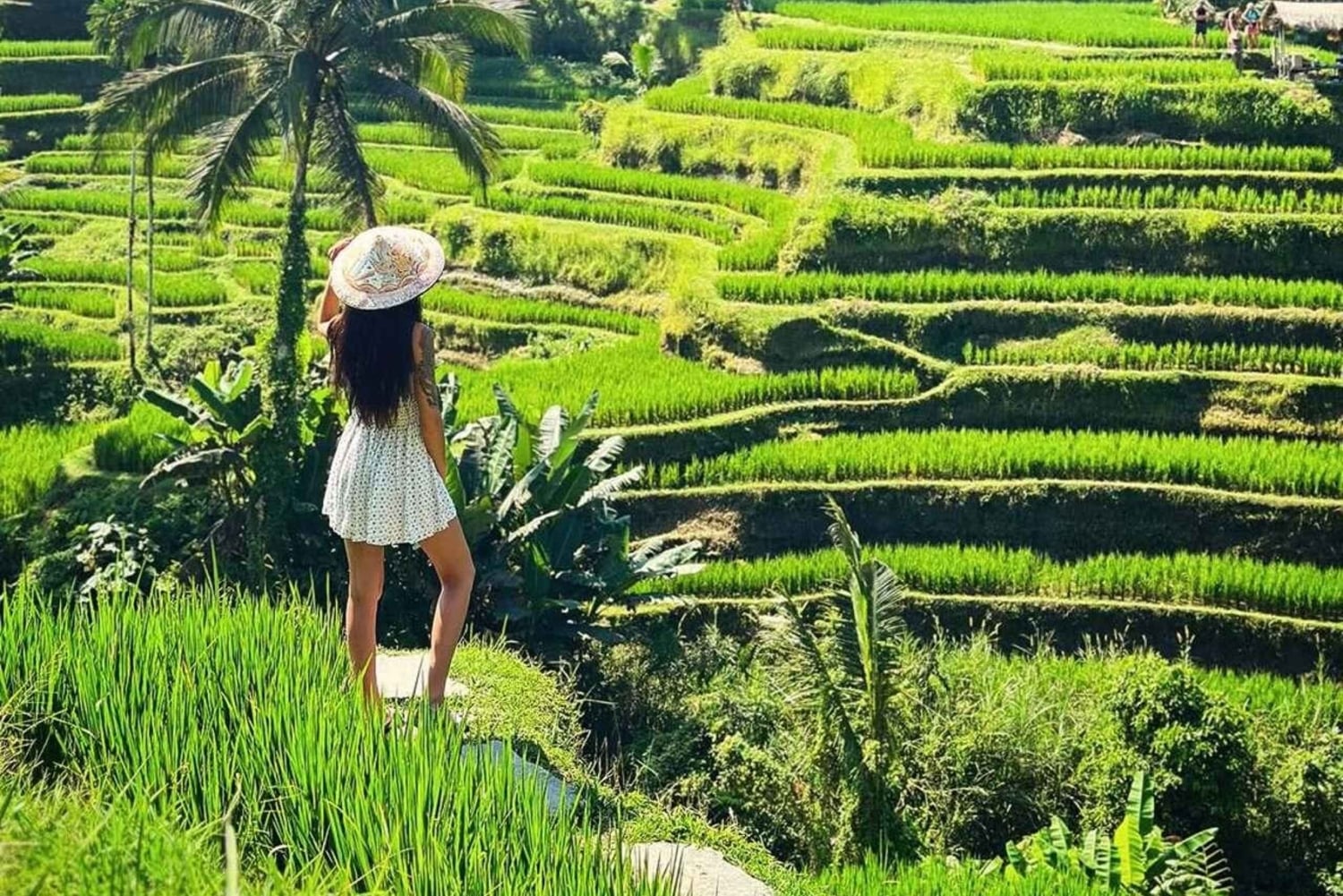 Vältä väkijoukot: Ubudin aikainen aamun luontoretki