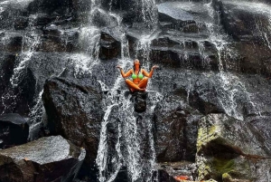 Vältä väkijoukot: Ubudin aikainen aamun luontoretki