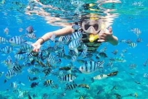 Bali Snorklausta sinisessä laguunissa, Monkey barissa ja Kanto lampossa