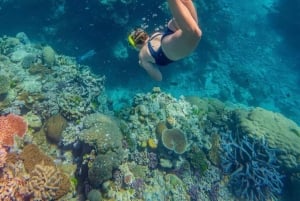 Snorkelen bij Blue Lagoon, Tanjung Jepun en waterval