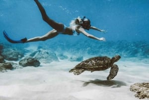 Snorkelen bij Blue Lagoon, Tanjung Jepun en waterval