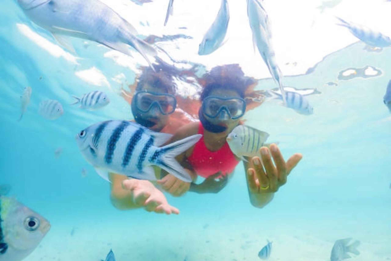 Сноркелинг или катание на гидроцикле в Нуса-Дуа, Бали