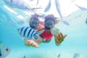 Сноркелинг или катание на гидроцикле в Нуса-Дуа, Бали