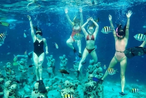 Schnorcheln auf Gili Trawangan, Gili Air und Gili Meno von Lombok aus