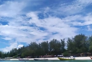 Schnorcheln auf Gili Trawangan, Gili Air und Gili Meno von Lombok aus