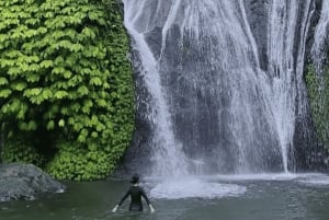 Templo e cachoeira no norte de Bali para viajantes individuais em van de luxo