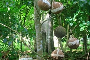 Balins själ: Penglipurans och Bayung Gedes kulturella hemligheter