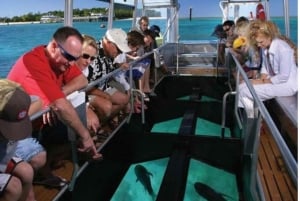 Bali Sud : excursion à Turtle Island en bateau à fond de verre