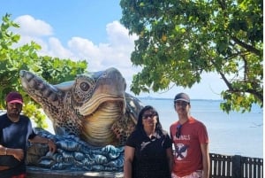Bali Sud : excursion à Turtle Island en bateau à fond de verre
