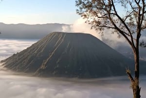البداية: مالانج! جولة مشاركة Bromo Sunrise وIjen 2D/1N