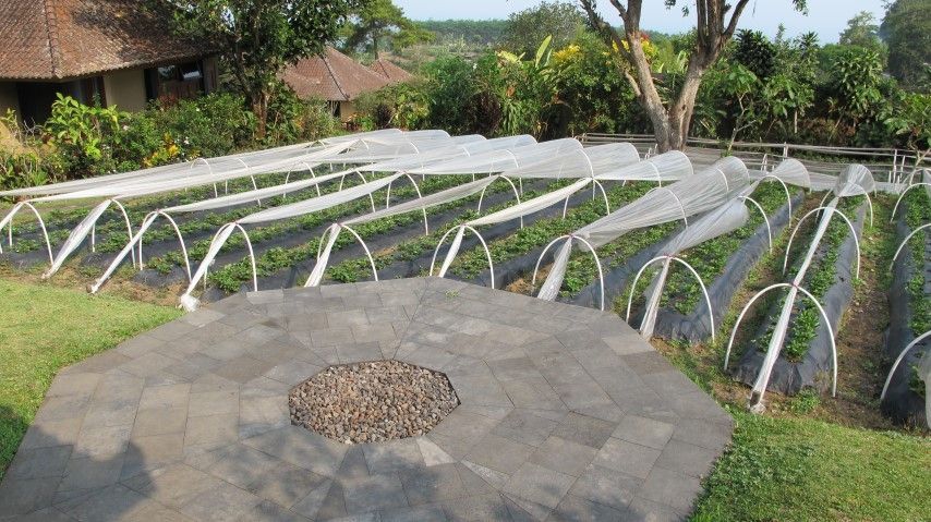Strawberry Hill Hotel And Restaurant In Bali My Guide Bali
