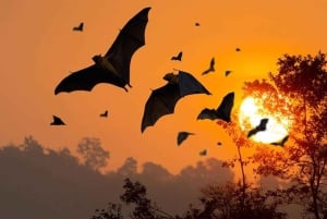 Solnedgångsresa: Kelor – Manjarite – Kalong Sunset