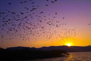 Solnedgångsresa: Kelor – Manjarite – Kalong Sunset