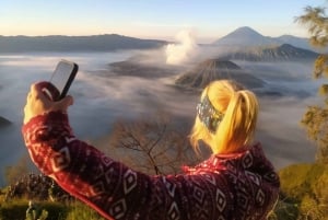 スラバヤまたはマラン：トゥンパク・セウ・ブロモ2日1泊