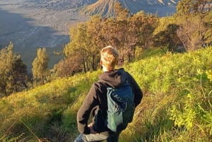 Surabaya eller Malang: Bromo, Tumpaksewu-vandfaldet på 2 dage